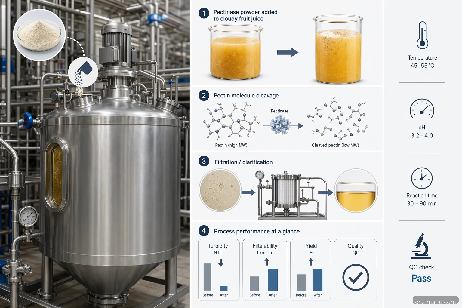 enzim pudra pectinase juice clarification: infographic showing enzyme dosing, filtration, yield and QC metrics